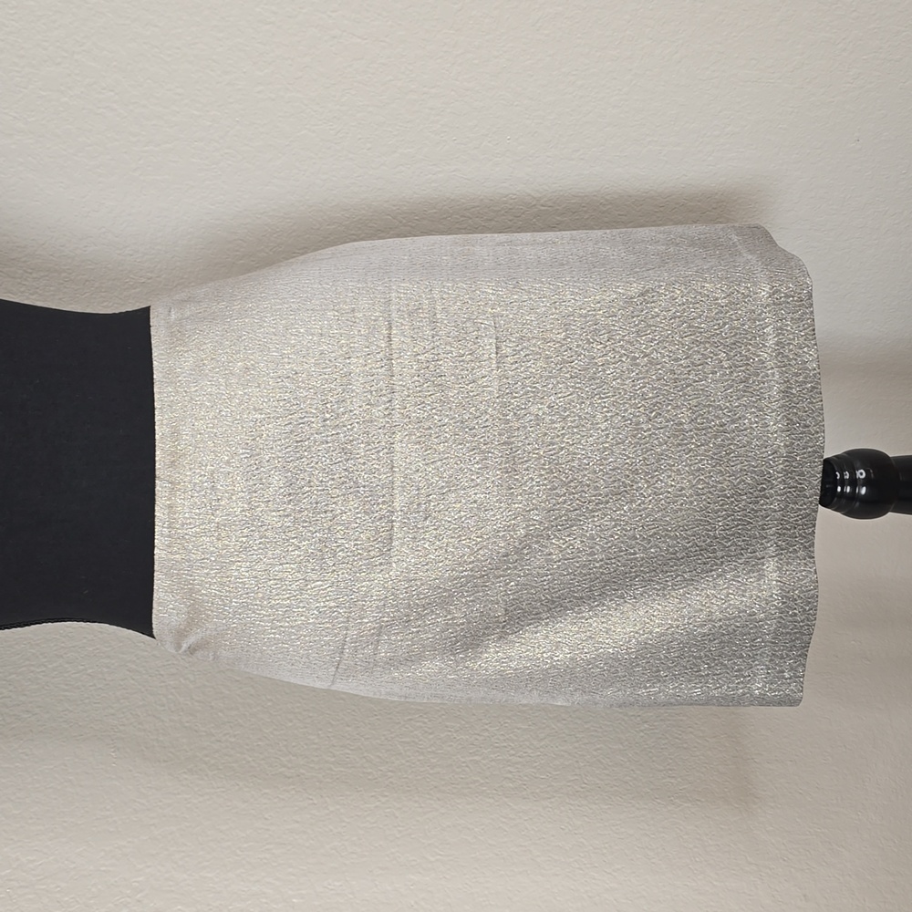 Ann Taylor Silver Mini Skirt Size 12